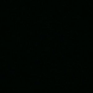 Meet your Posher, Shineice